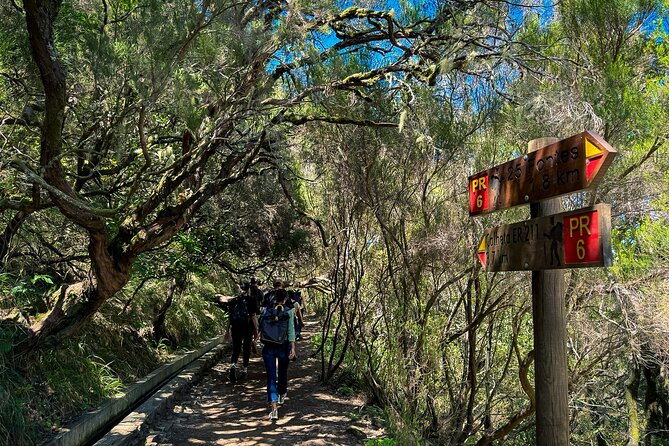 25 Fountains Levada: Hiking Tour in Madeira Rabaçal Valley (PR6) - Why This Madeira Levada Walk Feels More Personal Than a Typical Tour