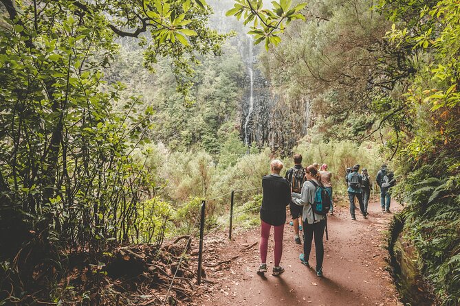 25 Fountains Levada: Hiking Tour in Madeira Rabaçal Valley (PR6) - The 25 Fountains Moment: Big Views, Big Crowds, and How to Handle It