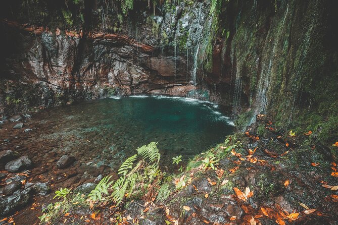 25 Fountains Levada: Hiking Tour in Madeira Rabaçal Valley (PR6) - Terrain Notes You Should Not Ignore: Steps, Slippery Ground, and a Dark Tunnel