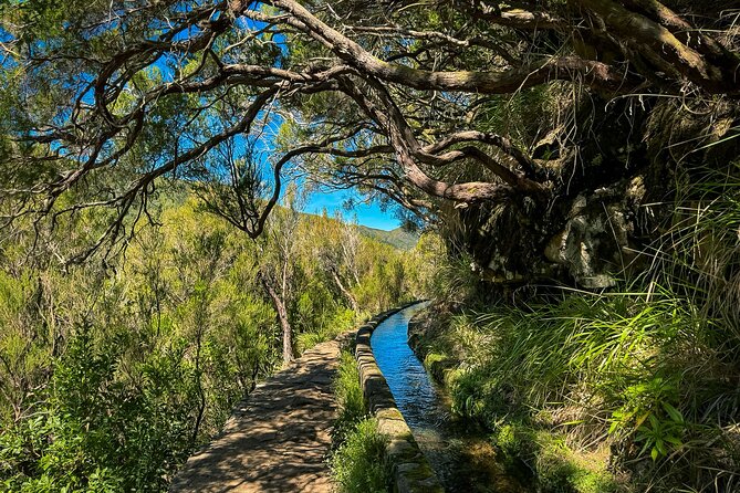 25 Fountains Levada: Hiking Tour in Madeira Rabaçal Valley (PR6) - Weather, Rain or Shine, and Why the Day Can Change