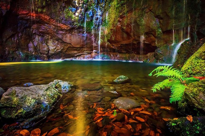 "25 Fountains" Walk / Lost In The Beautiful Forest - Key highlights worth knowing before you go