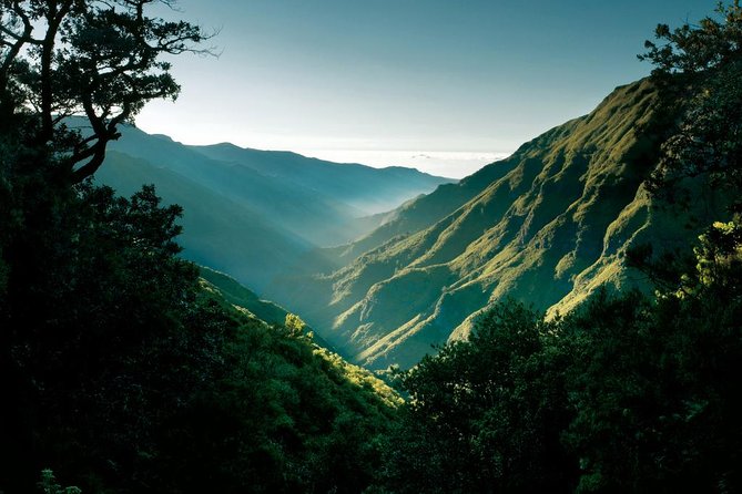 "25 Fountains" Walk / Lost In The Beautiful Forest - Pickup in Funchal: how to reduce day-of stress