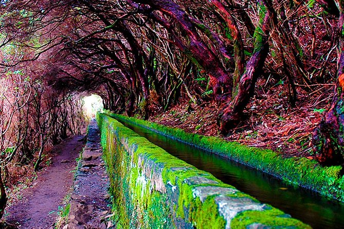 "25 Fountains" Walk / Lost In The Beautiful Forest - Guides and pacing: what the best experiences seem to have in common