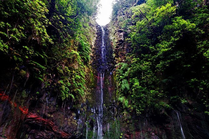 "25 Fountains" Walk / Lost In The Beautiful Forest - Price and trail fees: what you’re really paying for