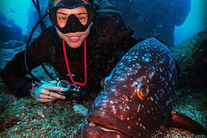 3 days Open Water Course | Scuba Diving - Why Funchal is a smart starting point for your SSI Open Water course