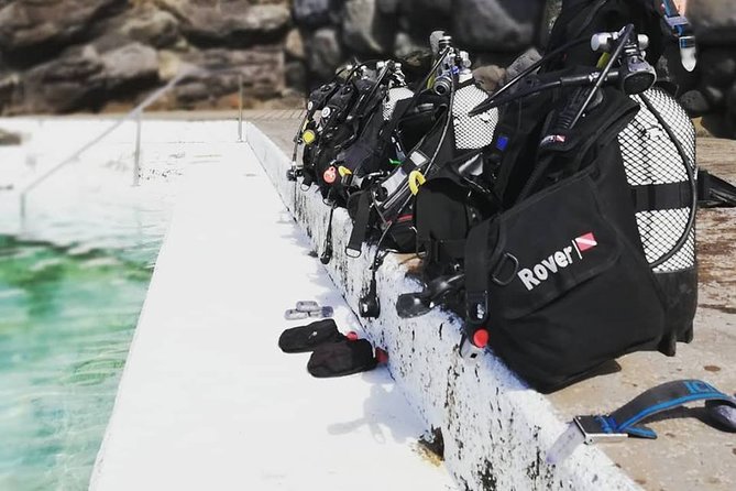 3 days Open Water Course | Scuba Diving - Gear included, equipment support included, and cold-water reality
