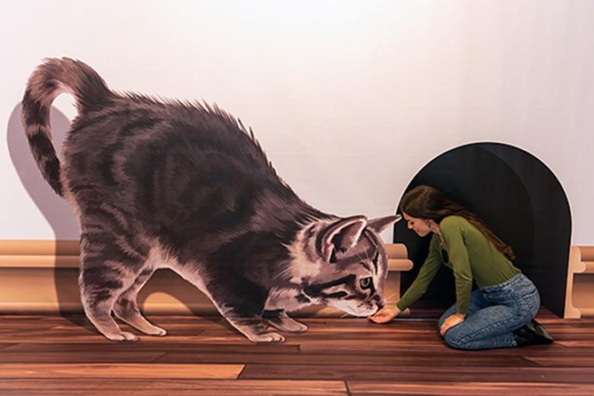3D Fun Art Museum Funchal - How Long to Plan, and When to Go (So You Get Better Shots)