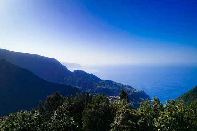 4x4 Jeep Tour to East & Northeast of Madeira - Ribeiro Frio and the Laurissilva Levada Walk: Greens You Can Walk Through