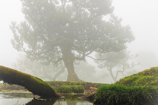 4x4 Jeep Tour to the West & Northwest of Madeira - Ribeira Brava: a quick cultural and agricultural pause
