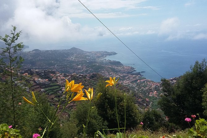 4x4 Safari Half day Poncha, Mountains, Vineyards and Cabo Girão Small group - Off-road driving tips: comfort, timing, and who it suits
