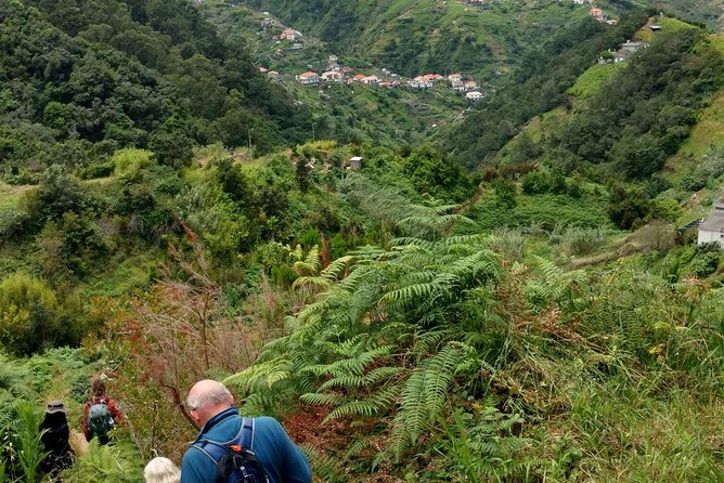 4x4 Safari Private Jeep, Full Day, Customizable Santana or Porto Moniz or other - What Happens at Each Stop (and What to Watch For)
