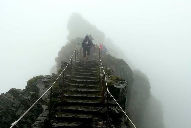 Achadas Teixeira- Pico Ruivo -& Pico pedras/Queimadas forest walk - Forest walking, levadas, and the “right kind of calm”