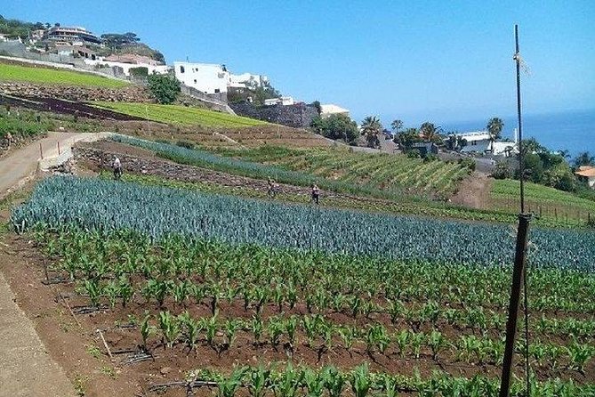 Agriculture Green Tour - Price and logistics that actually matter