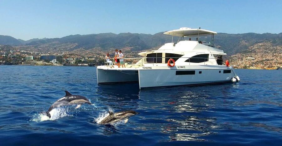 All Inclusive Whale and Dolphin Watching Luxury Tour - The Hidden Break: Snacks, Drinks, and Marine Life Spotting Time