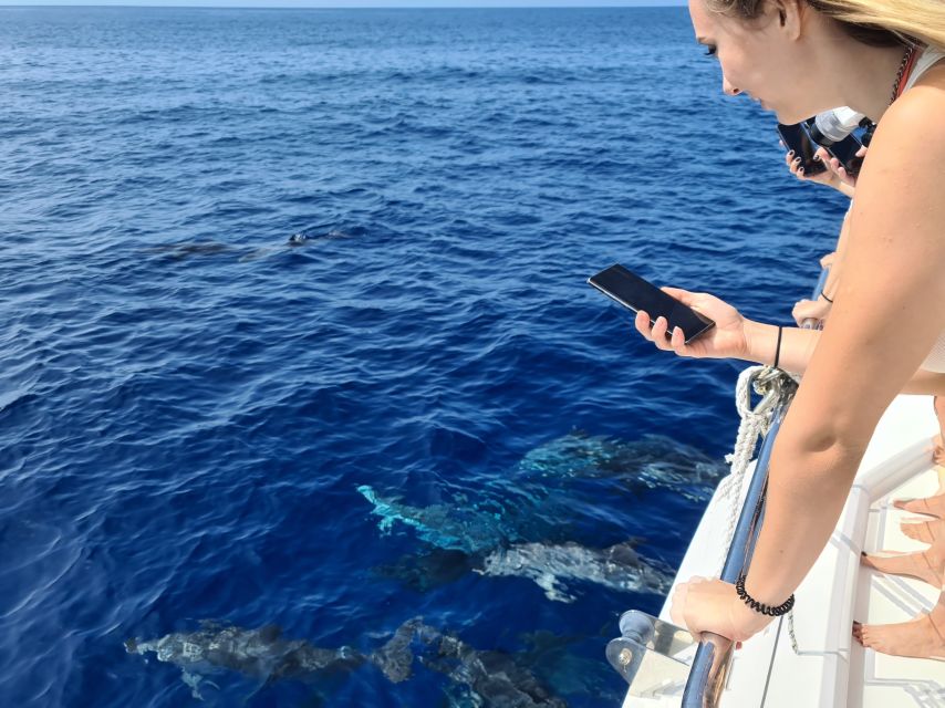 All Inclusive Whale and Dolphin Watching Luxury Tour - Cabo Girão: The 586m Sea Cliff Swim Stop That Makes This Feel Special