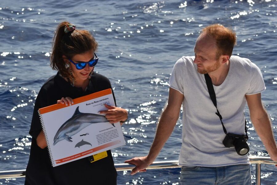 All Inclusive Whale and Dolphin Watching Luxury Tour - Price and Value: Why $93 Can Feel Like a Deal Here