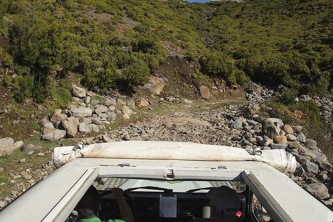 Amazing West - Jeep Safari Tour - Full Day - Shared Tour - Porto Moniz Lava Pools: Swimming Time with Separate Pool Entry