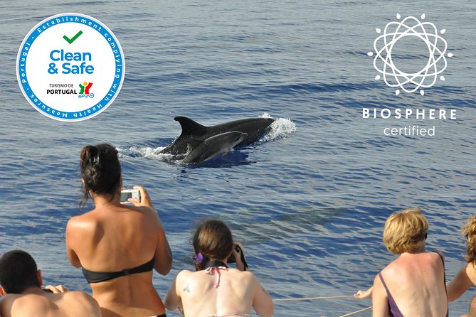 Arieiro Peak and Cristo Rei 4x4 Experience + Dolphins Watching - Miradouro do Cristo Rei do Garajau: Views With a Story