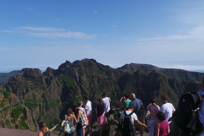 Arieiro Peak and Cristo Rei 4x4 Experience + Dolphins Watching - The Big Gear Shift: From 4x4 Mountain Morning to Catamaran Afternoon