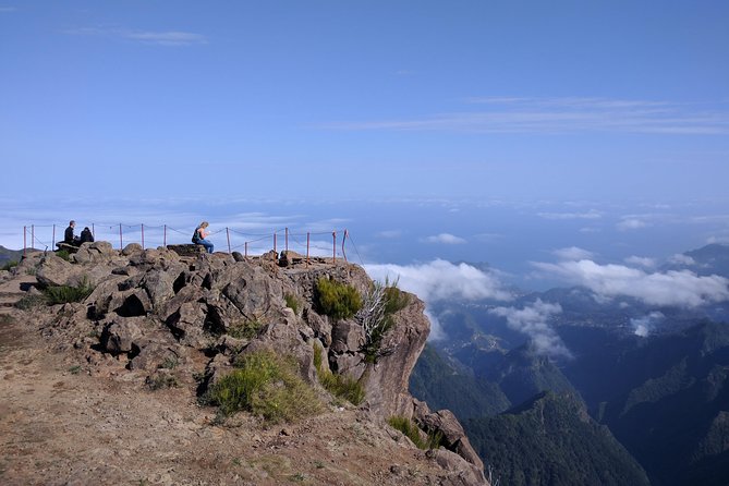 Arieiro Peak and Cristo Rei 4x4 Experience + Dolphins Watching - Dolphin and Whale Watching From Funchal Harbor: What You Can Expect