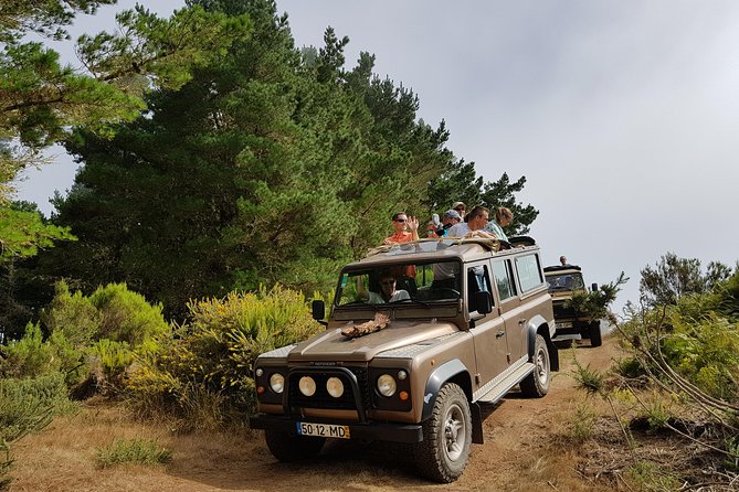 Arieiro Peak, Santo Serra, Cristo Rei in Open Roof 4x4 Experience - An open-roof Jeep is the ticket for Madeira’s ridge roads
