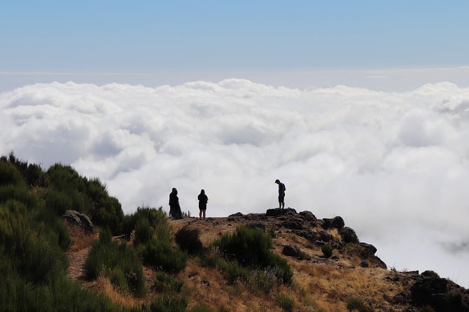Arieiro Peak, Santo Serra, Cristo Rei in Open Roof 4x4 Experience - Price and value at about $54.42 per person