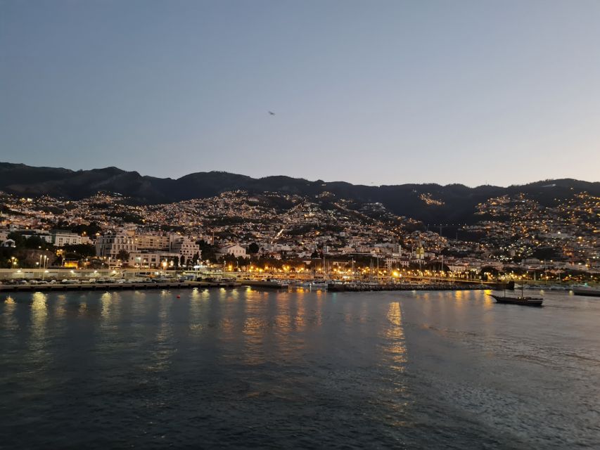 Audio Guide Citywalk Funchal for Cruise Guests - Santa Catarina Park Finish Above the Harbor