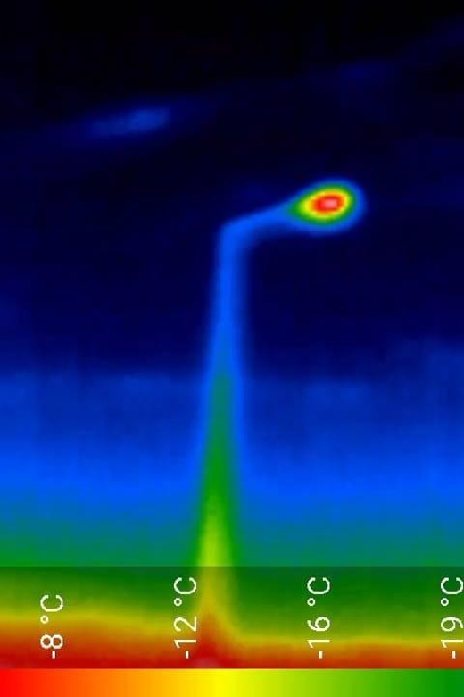 Bat Watching Madeira - The Tools: Ultrasound Detectors and Thermal Cameras