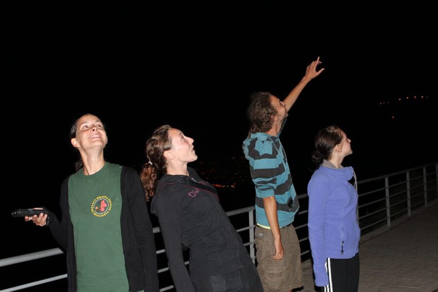 Bat Watching Madeira - Should You Book Bat Watching Madeira?