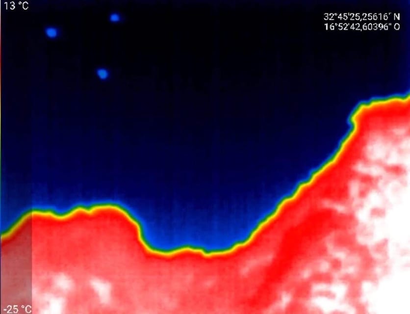 Bat Watching Madeira - FAQ