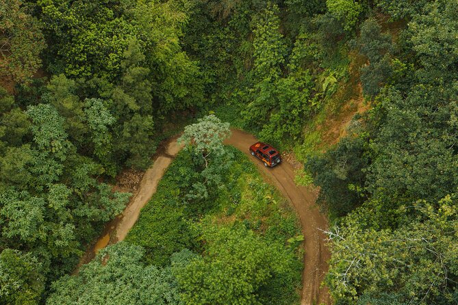 Bespoke adventure in Madeira with pick-up - Stops and Sights You Can Expect (Cliffs, Waterfalls, Pools, and More)