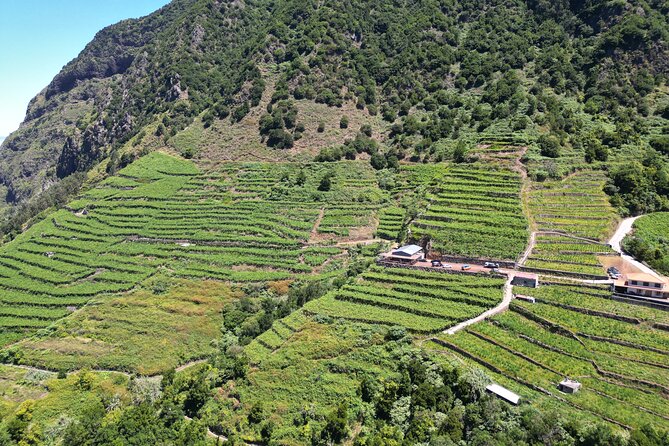 Bestselling Wine Tour, Tasting Experience & Skywalk 4x4 Adventure - Cabo Girão and the skywalk stop: ocean views, paid entrance