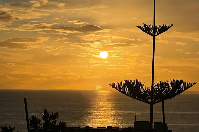 CABO GIRÃO (Half Day tour/3h) / Private Classic Car (4L). - Camara De Lobos: Fishing Village Traditions and Poncha Breaks