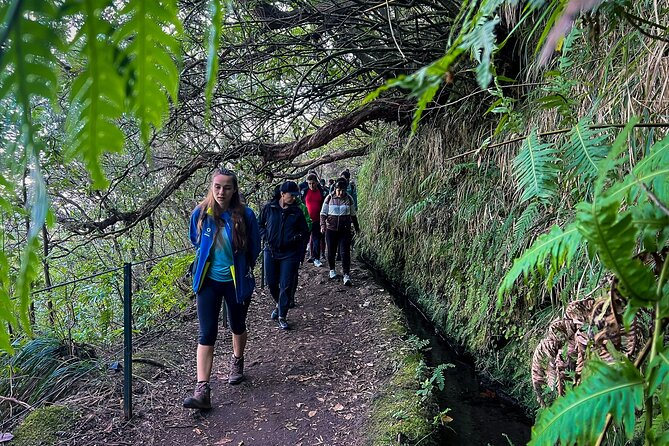 Caldeirão Verde Levada (PR 9) - Guided Madeira Levada Walk - Safety and group size: small number, big reality on the path