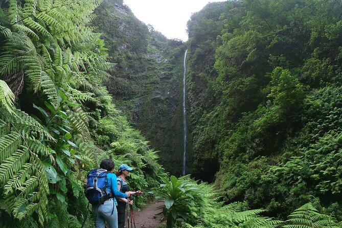 Caldeirão Verde Levada (PR 9) - Guided Madeira Levada Walk - Price and value: what you get for about $55, plus the 3€ trail fee