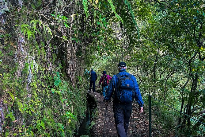 Caldeirão Verde Levada (PR 9) - Guided Madeira Levada Walk - What to bring: footwear, breakfast fuel, and your own water plan