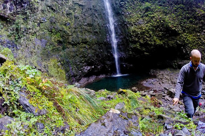 Caldeirão Verde Levada (PR 9) - Guided Madeira Levada Walk - The Queimadas Forest Park start at 980 meters, right by a thatched shelter