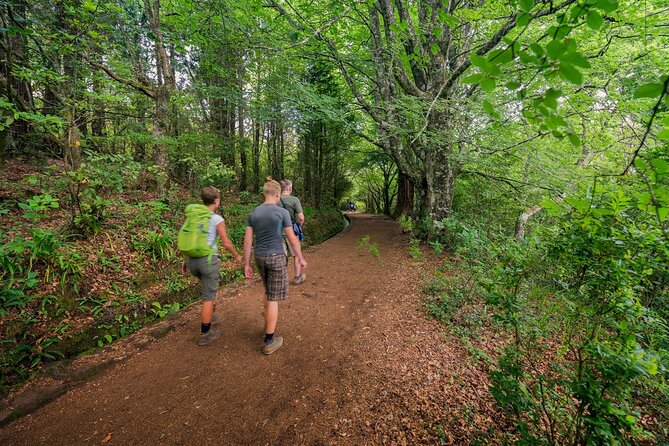 Caldeirão Verde Levadas Walk in Madeira - Getting to the trail in Funchal: pickup timing and group reality