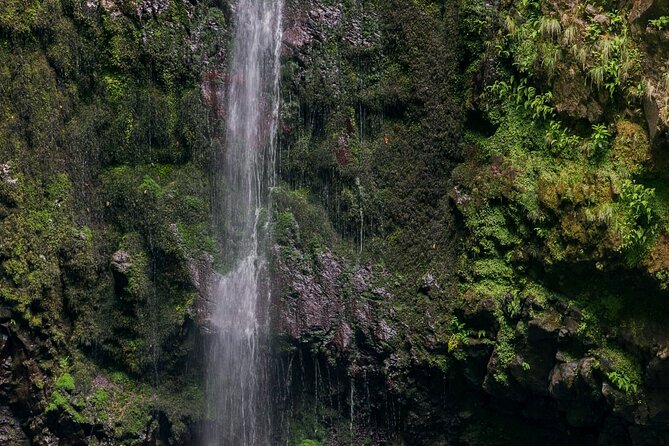 Caldeirão Verde Levadas Walk in Madeira - Why the guide changes your whole day (and who you might get)