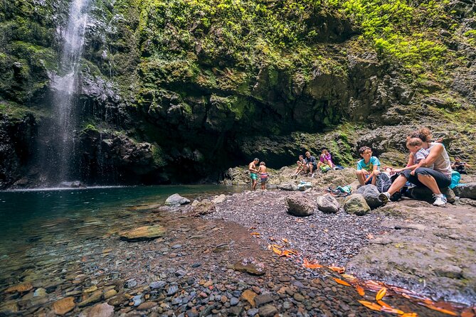 Caldeirão Verde Levadas Walk in Madeira - Pace and photo time: what to plan for so you don’t feel rushed