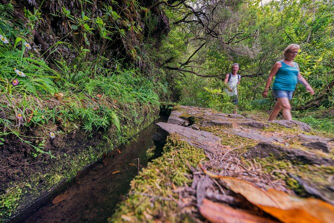 Caldeirão Verde Levadas Walk in Madeira - Crowds, heights, and safety: the real “conditions check”