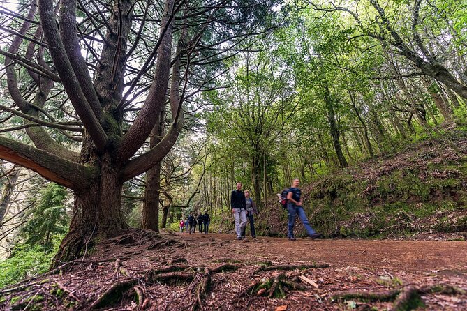 Caldeirão Verde Levadas Walk in Madeira - Price and value: is $52.86 worth it?