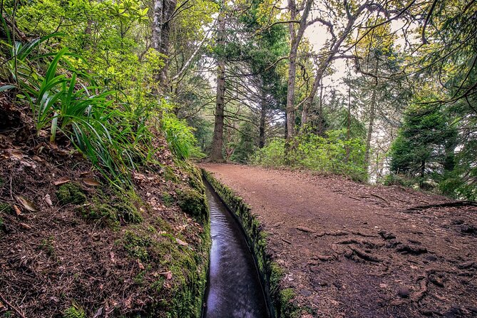 Caldeirão Verde Levadas Walk in Madeira - The walk itself: forest shade, high waterfall, and the tunnel factor