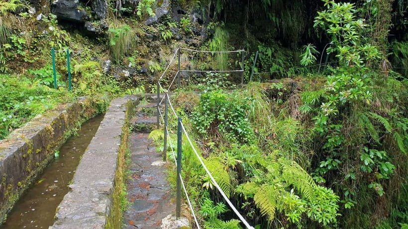Caldeirão Verde: Queimadas PR9 Transfer and Self-Guided Hike - What to Pack for a Wet Forest Day in Madeira