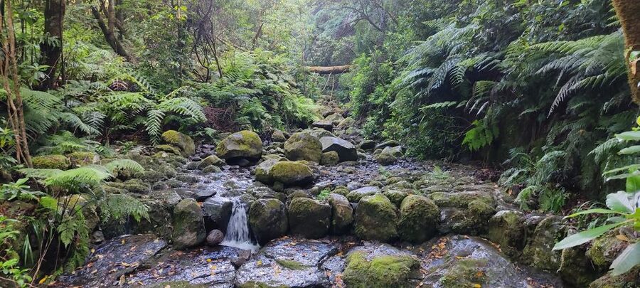 Caldeirão Verde: Queimadas PR9 Transfer and Self-Guided Hike - Who This Hike Fits Best, and Who Should Skip It