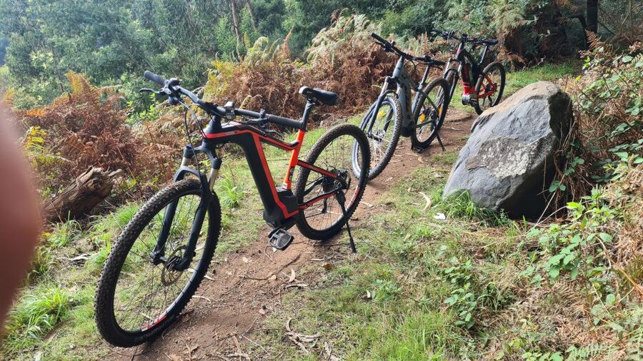 Camacha: Levada Trail e-Bike Guided Tour - Key points I’d plan around before you go