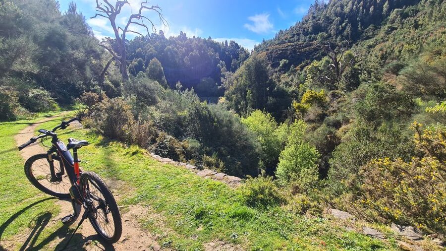 Camacha: Levada Trail e-Bike Guided Tour - Who This Tour Suits Best (and Who Should Skip It)