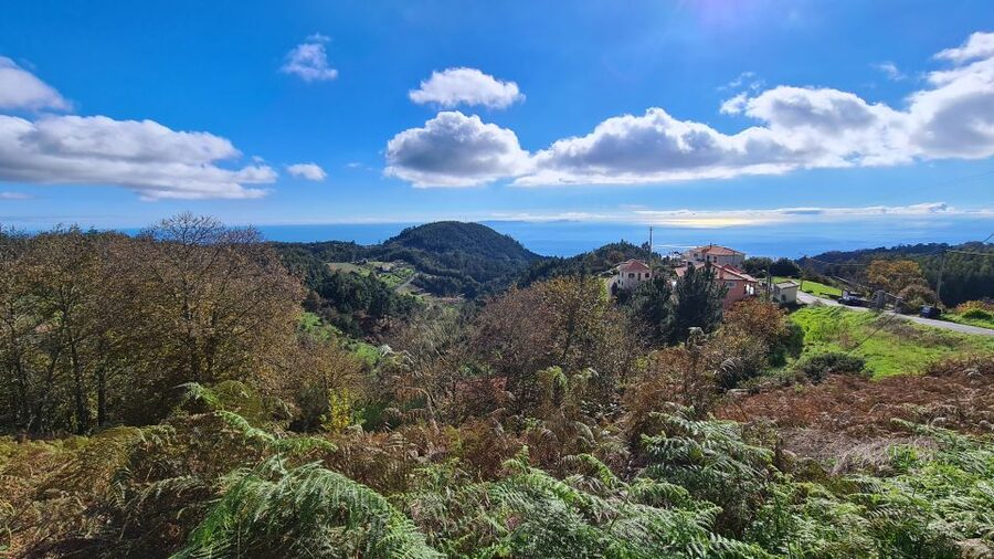 Camacha: Levada Trail e-Bike Guided Tour - Why Camacha’s Levada Trail Works So Well on an e-Bike