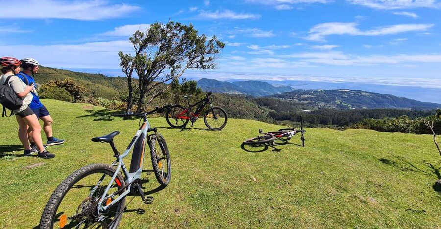 Camacha: Levada Trail e-Bike Guided Tour - Getting Started in Camacha: Fields, Plants, and Bike Comfort
