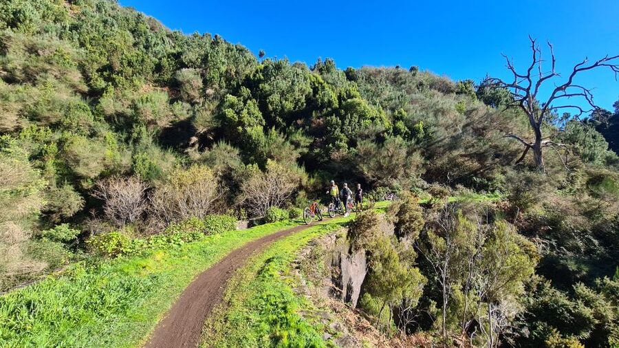 Camacha: Levada Trail e-Bike Guided Tour - Weather Reality Check: Rain or Shine and Mud Management